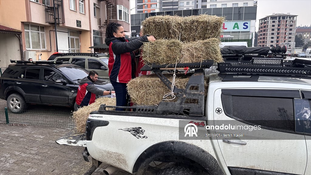 Kastamonu'da karlı yolları yaban hayvanları için aşıp doğaya yem bıraktılar