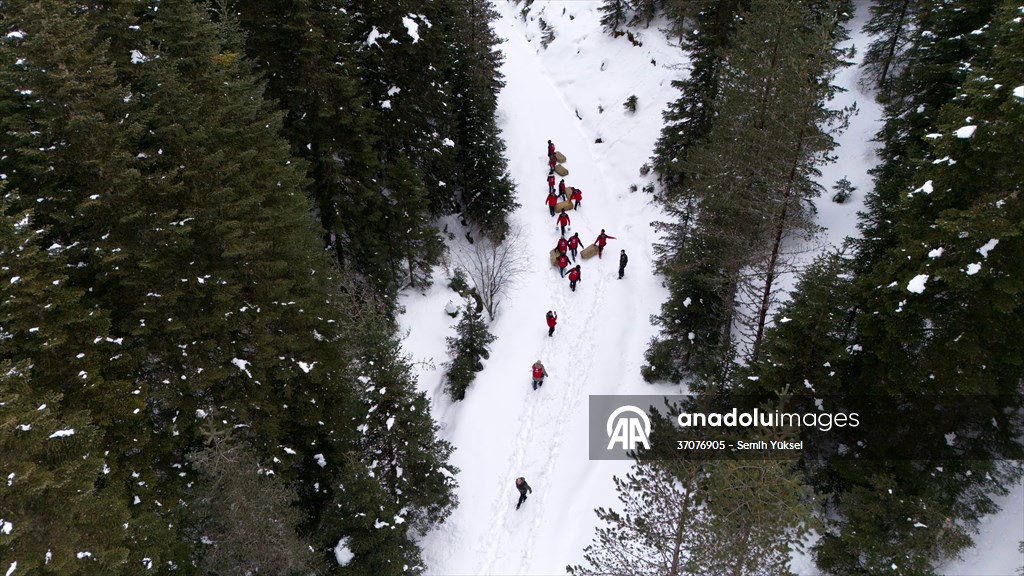 Kastamonu'da karlı yolları yaban hayvanları için aşıp doğaya yem bıraktılar