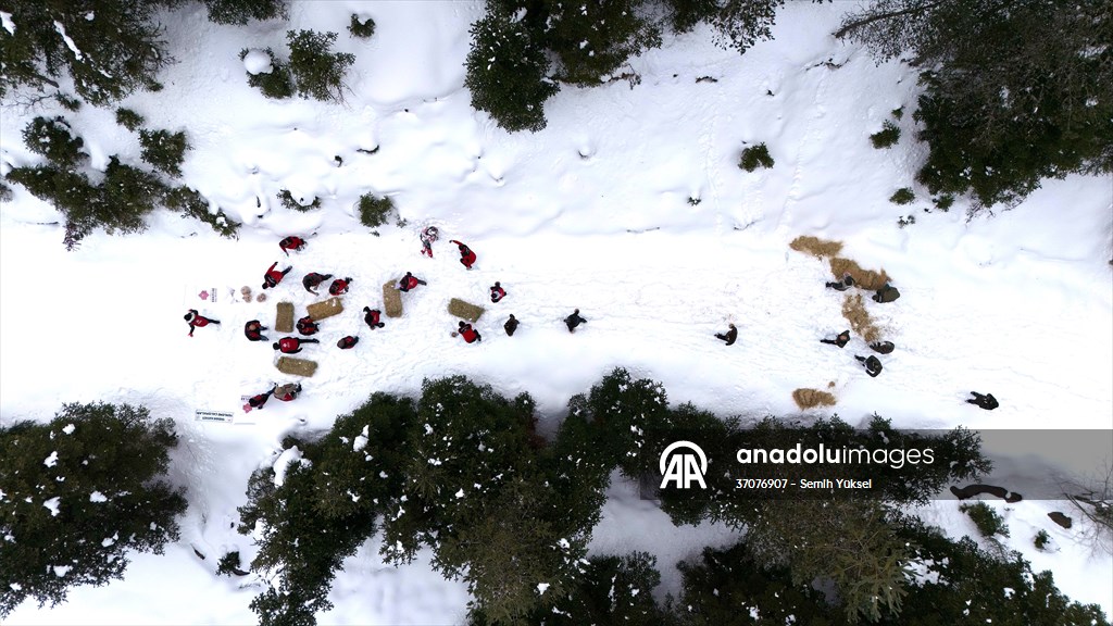 Kastamonu'da karlı yolları yaban hayvanları için aşıp doğaya yem bıraktılar