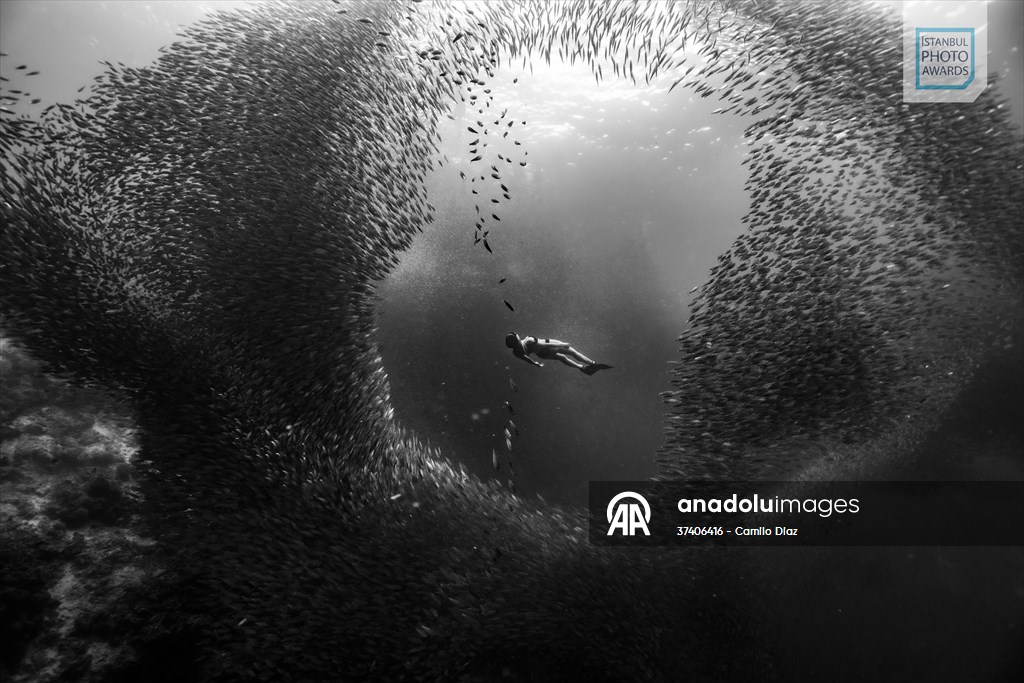 Winners of Istanbul Photo Awards 2025 announced