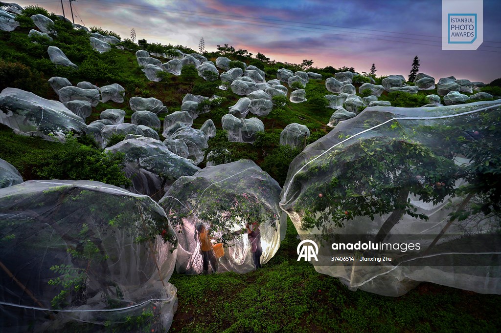 Winners of Istanbul Photo Awards 2025 announced