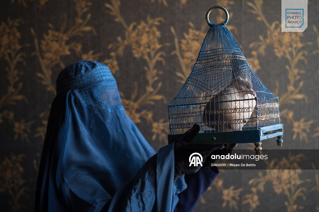 Winners of Istanbul Photo Awards 2025 announced