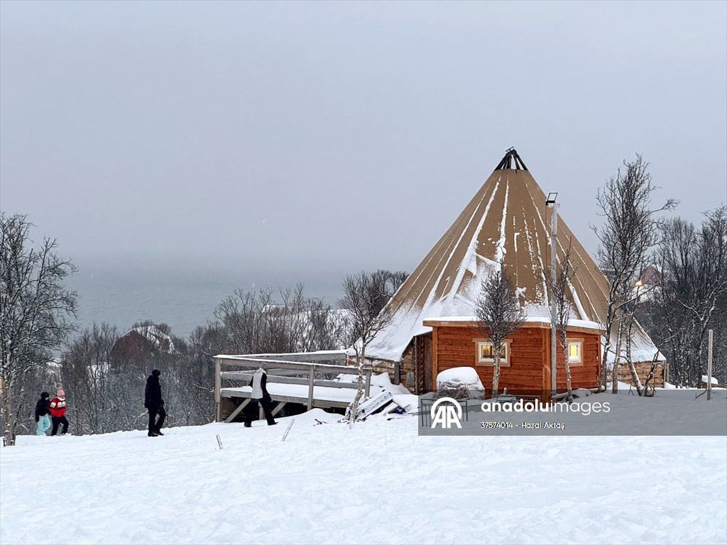 Reindeer farm in Tromso, Norway
