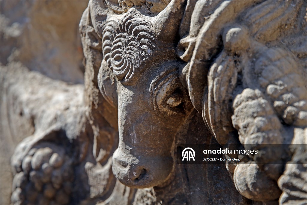 A 2,000-year-old sarcophagus was found in Stratonikeia Ancient City in Turkiye's Mugla