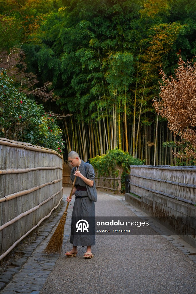 Arashiyama Bamboo Forest in Japan
