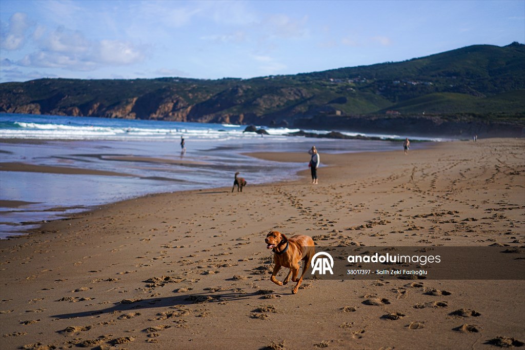 Surfing enthusiasts' favorite, Guincho Beach