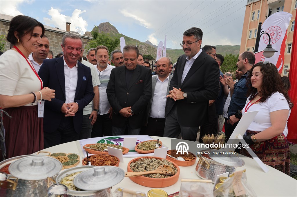 Hakkari'de 'Yöresel Lezzetler Festivali'nin ikincisi düzenlendi