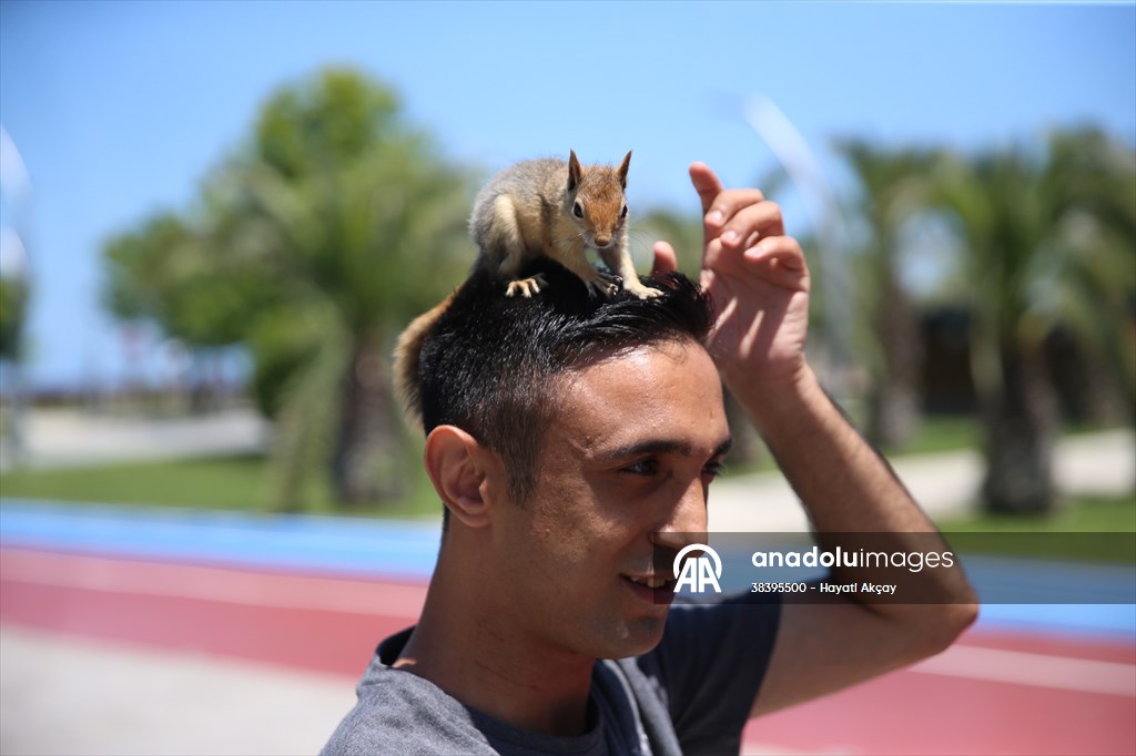 Bahçesinde bitkin halde bulduğu sincaba evinde özenle bakıyor