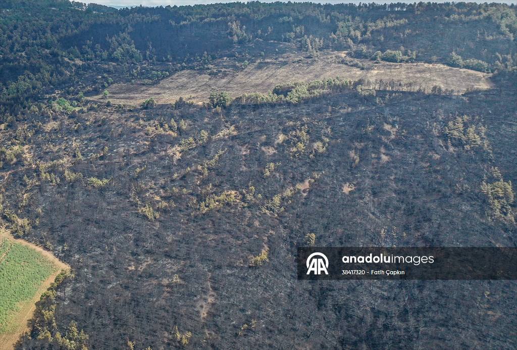 Bilecik'te orman yangınında zarar gören alanlar dronla görüntülendi