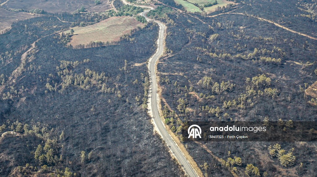 Bilecik'te orman yangınında zarar gören alanlar dronla görüntülendi