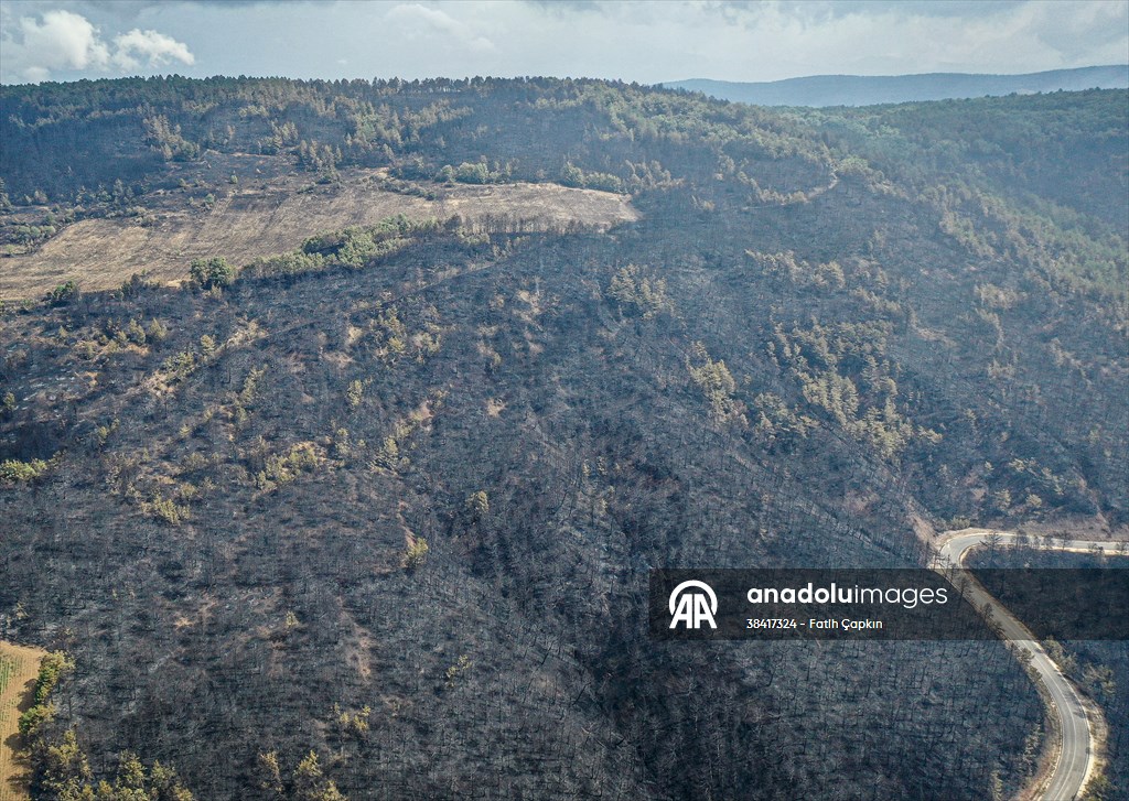 Bilecik'te orman yangınında zarar gören alanlar dronla görüntülendi