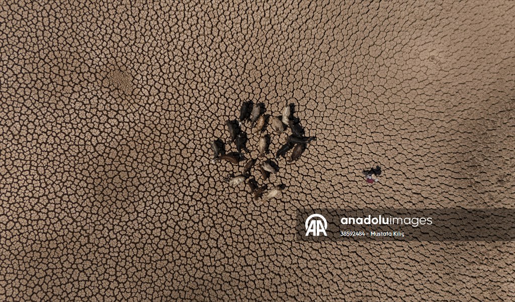 Mazıdağı’nda bulunan gölet kurudu