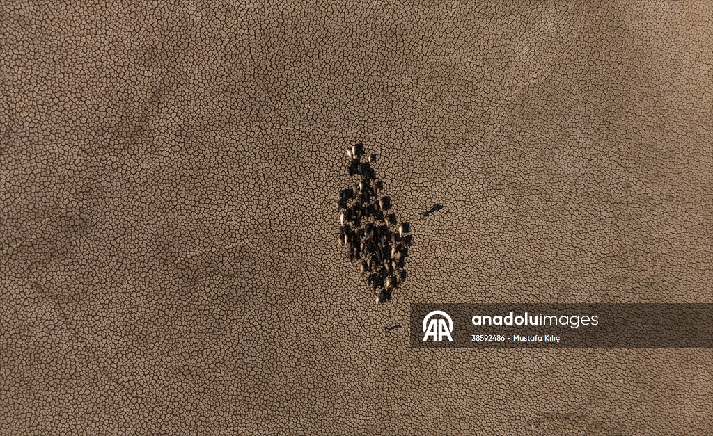 Mazıdağı’nda bulunan gölet kurudu