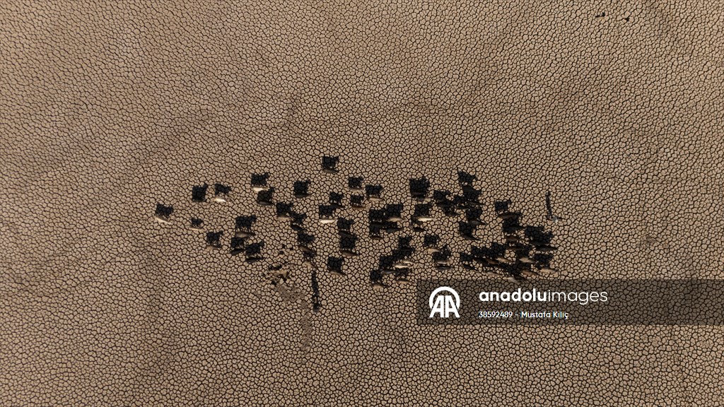 Mazıdağı’nda bulunan gölet kurudu