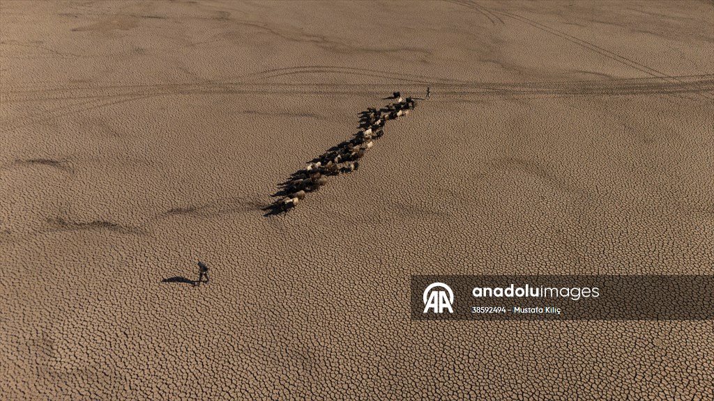 Mazıdağı’nda bulunan gölet kurudu