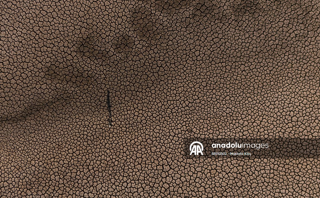 Mazıdağı’nda bulunan gölet kurudu