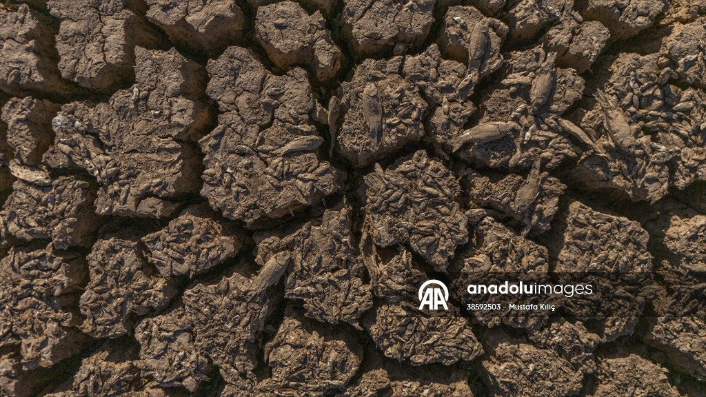 Mazıdağı’nda bulunan gölet kurudu