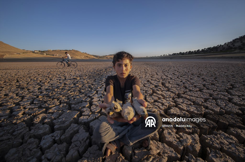 Mazıdağı’nda bulunan gölet kurudu