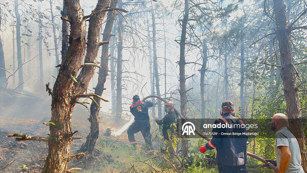 Sakarya'da ormanlık alanda çıkan yangına müdahale ediliyor