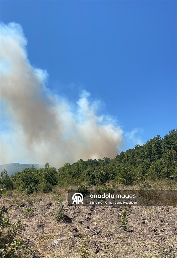 Sakarya'da ormanlık alanda çıkan yangına müdahale ediliyor