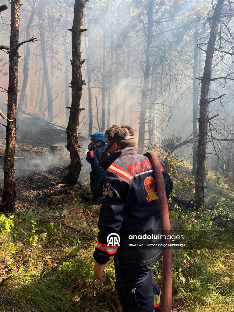 Sakarya'da ormanlık alanda çıkan yangına müdahale ediliyor