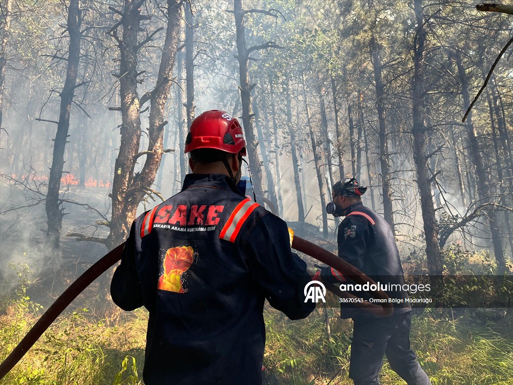 Sakarya'da ormanlık alanda çıkan yangına müdahale ediliyor