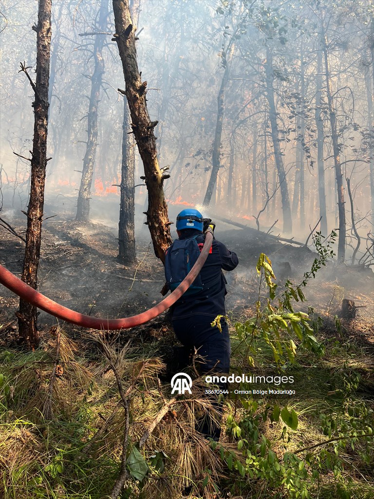 Sakarya'da ormanlık alanda çıkan yangına müdahale ediliyor
