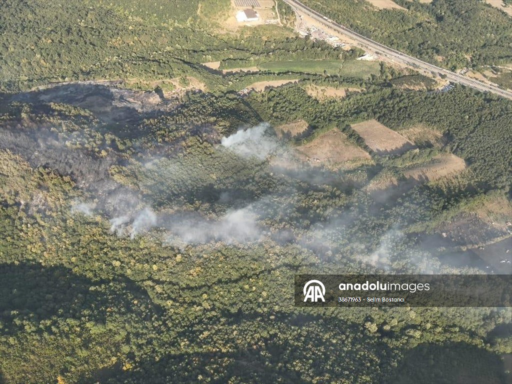 Sakarya'da ormanlık alanda çıkan yangın kontrol altına alındı