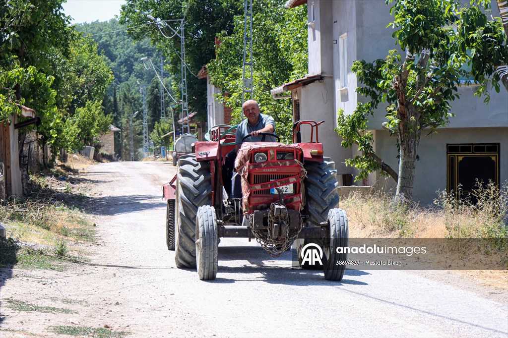 Bursa'da orman yangınına su yetiştirmek için patlak lastikle 2 kilometre katetti