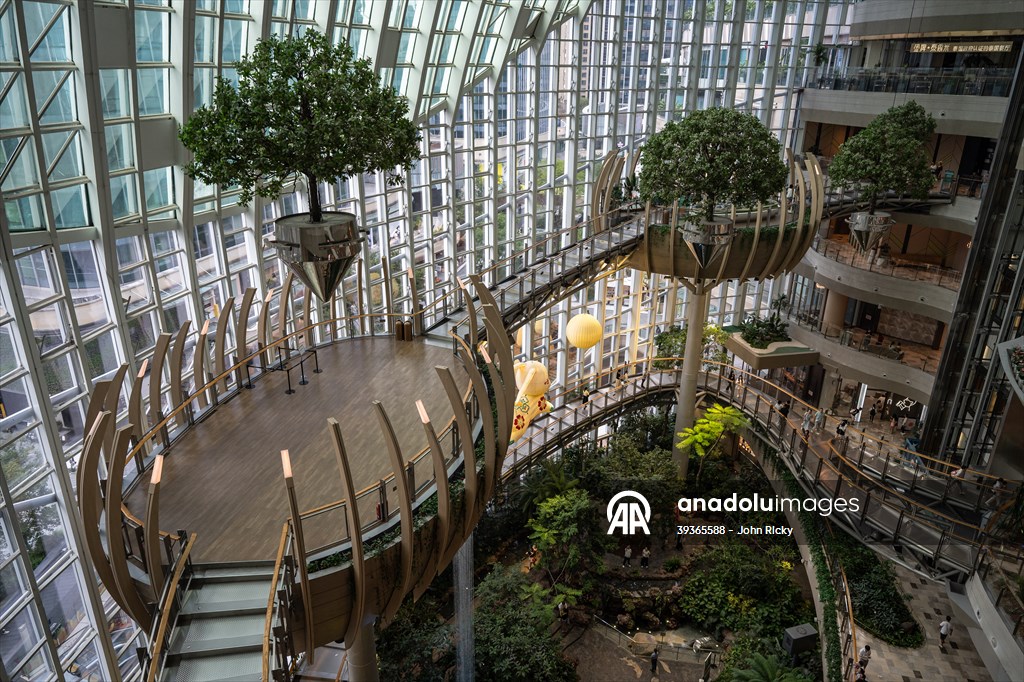 Forest-themed shopping mall in China