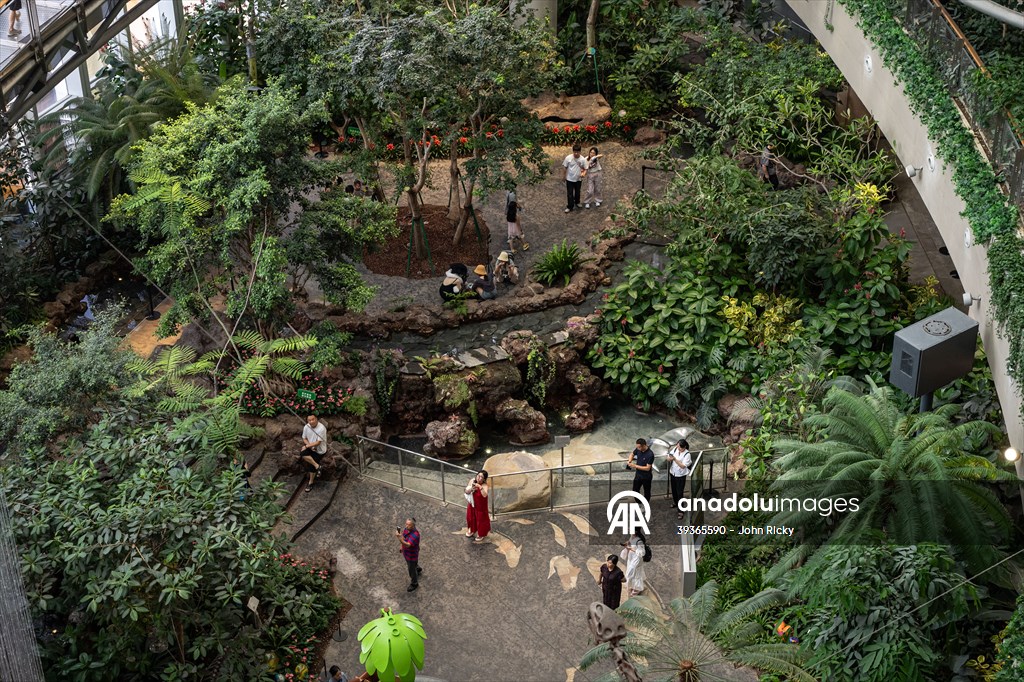 Forest-themed shopping mall in China