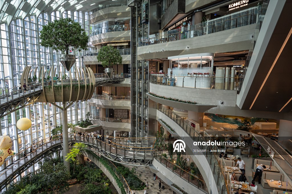 Forest-themed shopping mall in China