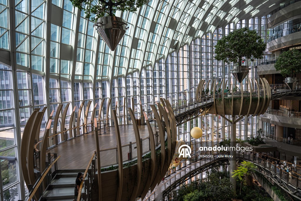 Forest-themed shopping mall in China