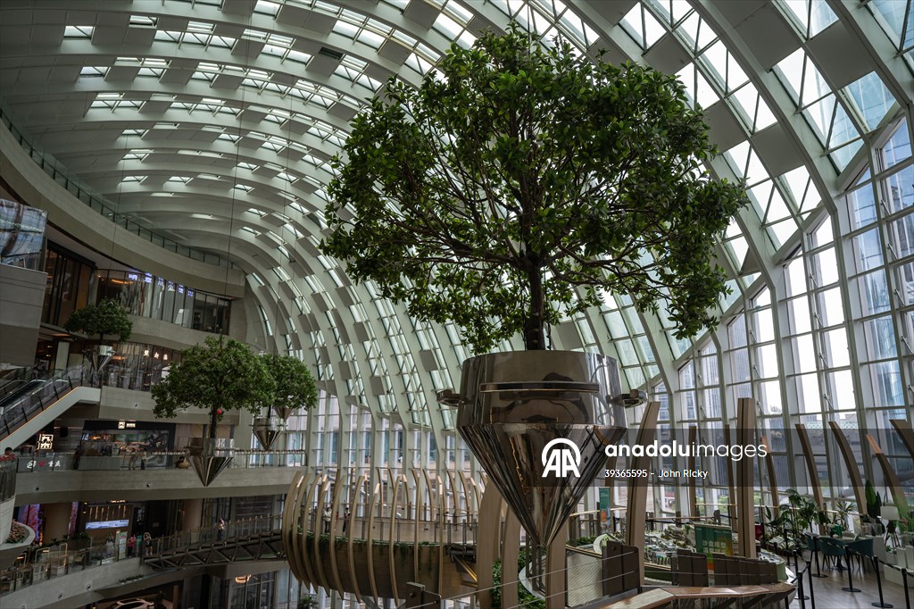 Forest-themed shopping mall in China