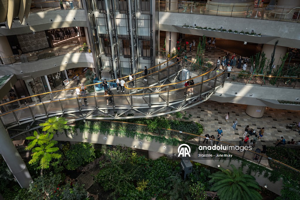 Forest-themed shopping mall in China