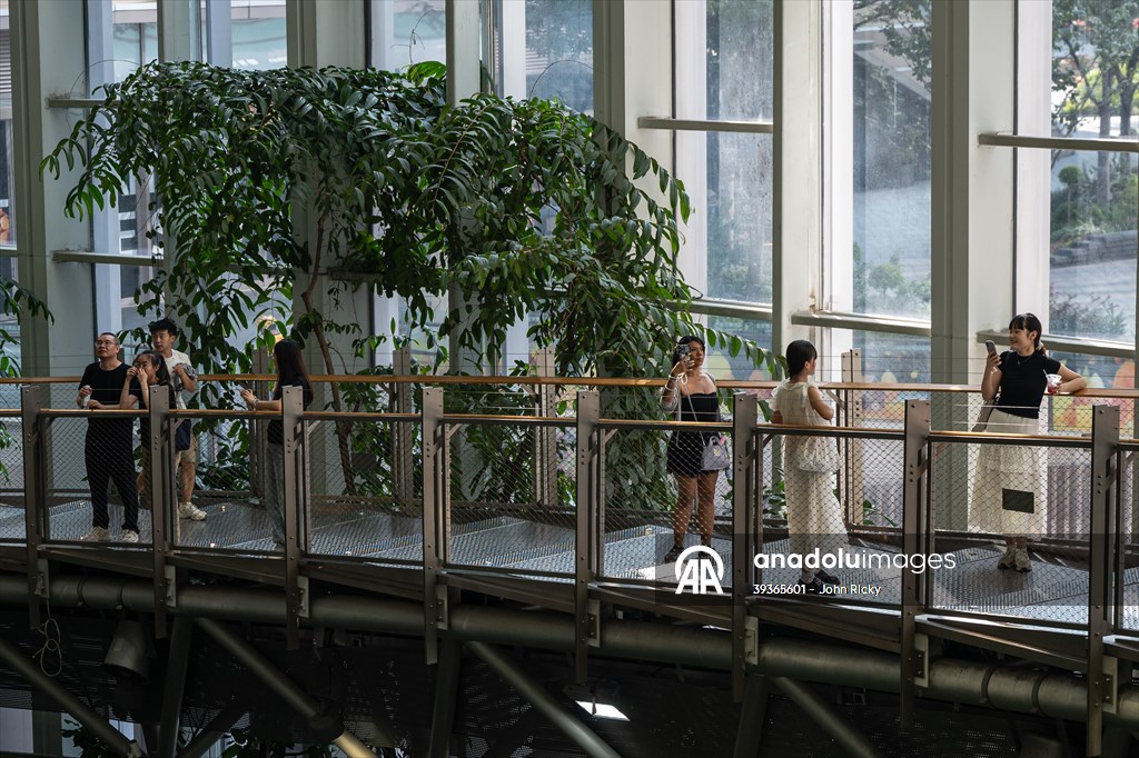 Forest-themed shopping mall in China