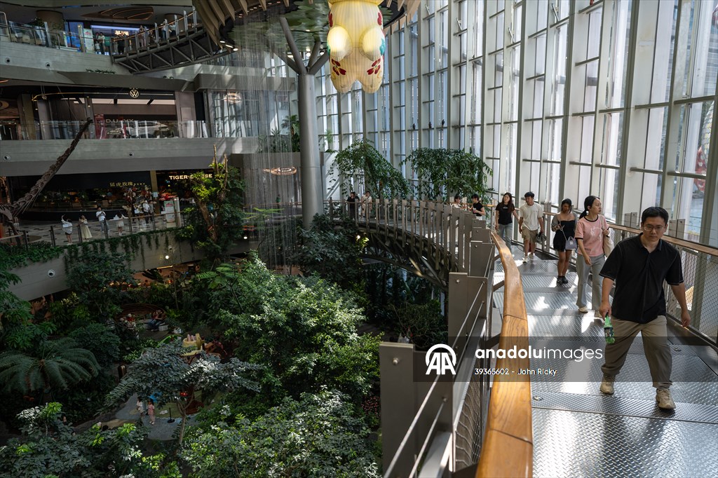 Forest-themed shopping mall in China