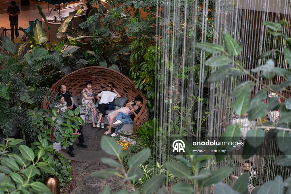 Forest-themed shopping mall in China