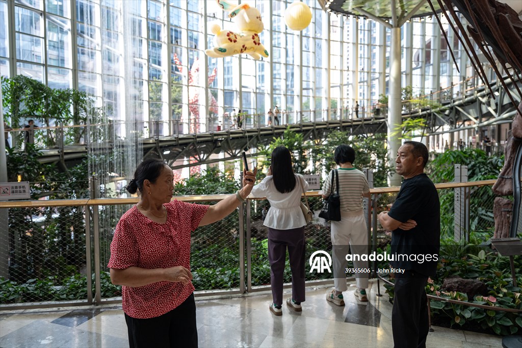 Forest-themed shopping mall in China