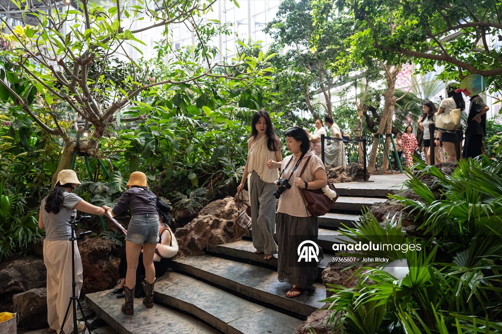 Forest-themed shopping mall in China