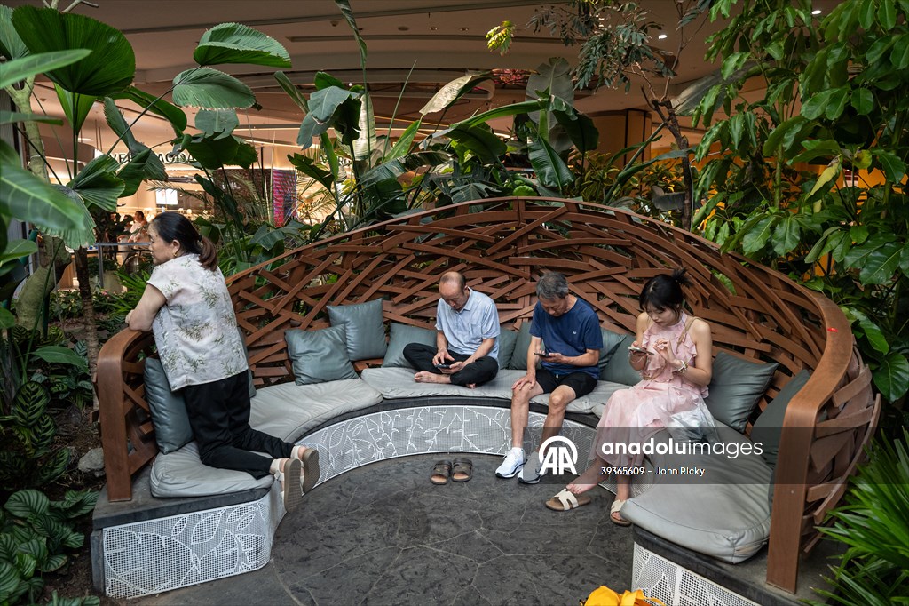 Forest-themed shopping mall in China