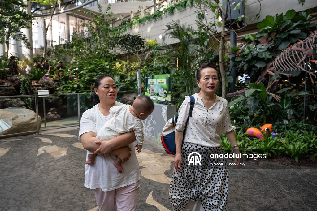 Forest-themed shopping mall in China