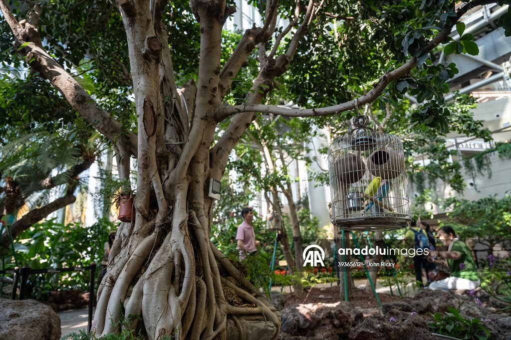 Forest-themed shopping mall in China