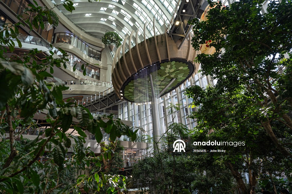 Forest-themed shopping mall in China