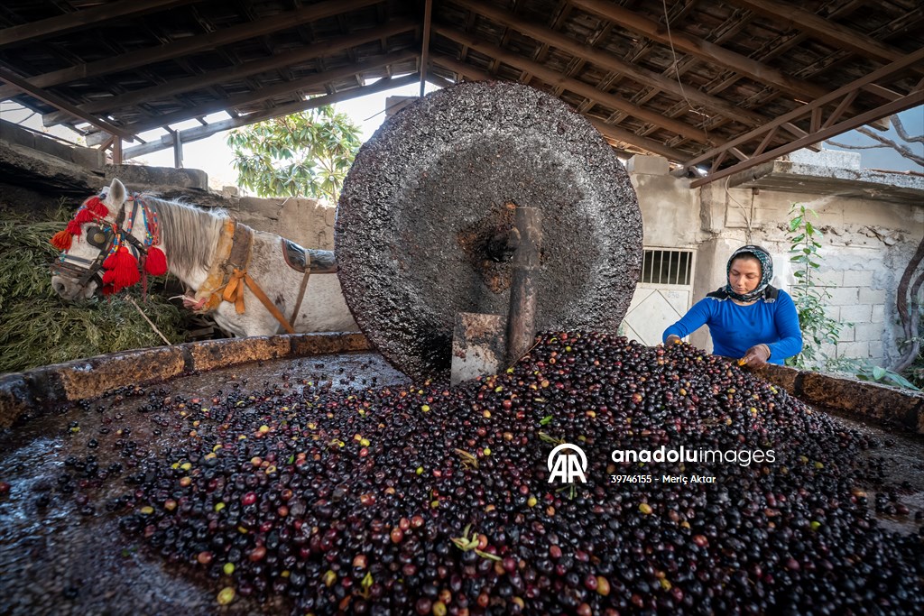 Hatay’da geleneksel “su seyti” yöntemiyle üretim devam ediyor