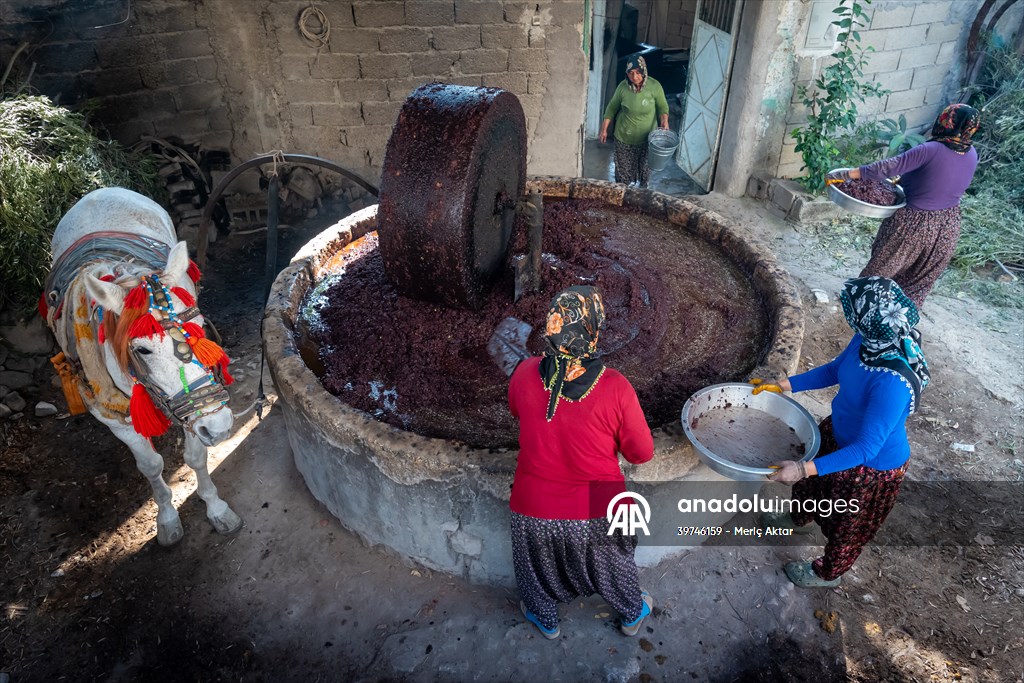 Hatay’da geleneksel “su seyti” yöntemiyle üretim devam ediyor