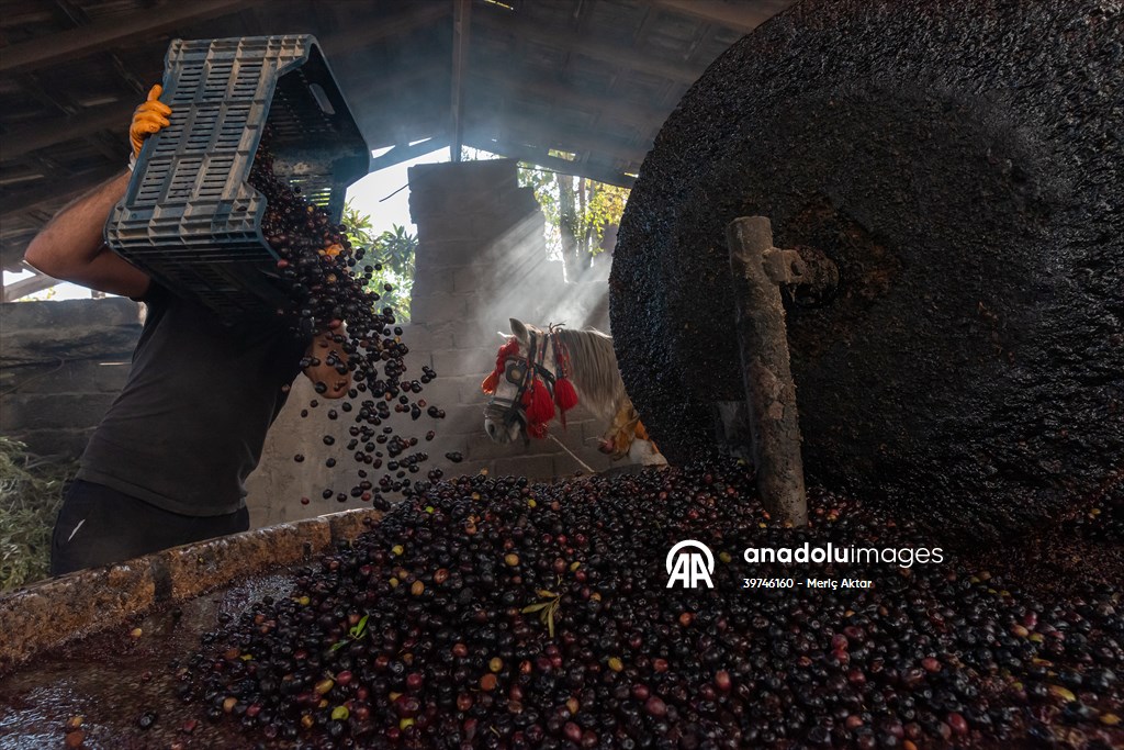 Hatay’da geleneksel “su seyti” yöntemiyle üretim devam ediyor