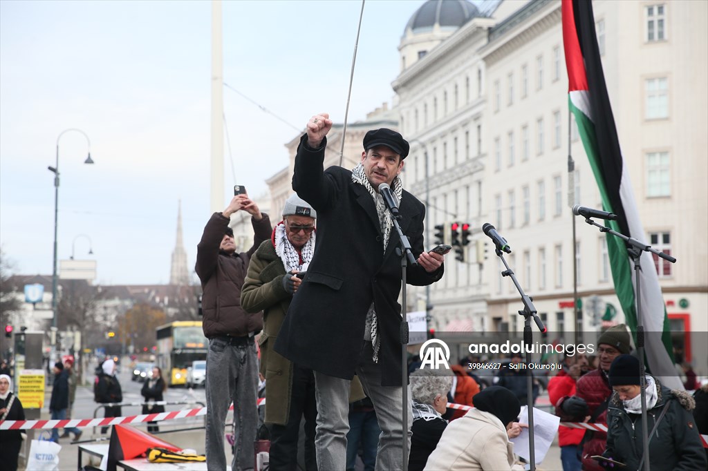 Pro-Palestinian demonstration in Vienna