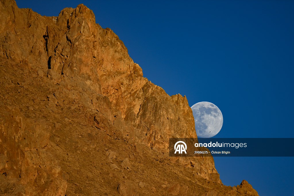 Wild goats spotted under full moon on Van’s mountain peaks