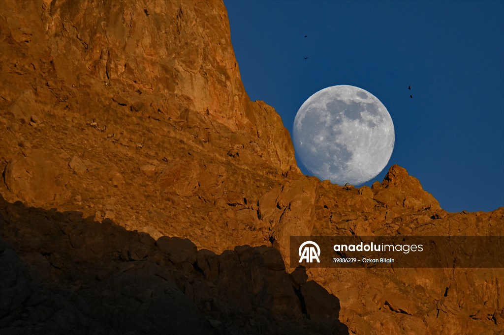 Wild goats spotted under full moon on Van’s mountain peaks